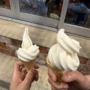 (주)퓨전소프트 | [대구] 막창 맛집 / 대구 북구 웨이팅 막창집 / 내돈내산 솔직후기 / 박대포막창 고성본점