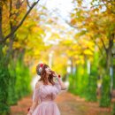 마로니에길 이미지