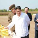 부대농장 이미지