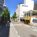 올리브영 앞 횡단보도 이미지