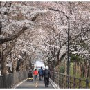 송정제방길 이미지