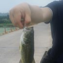 청도천7 이미지