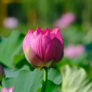 탄탄행정사사무소 이미지