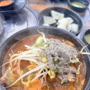 알바니 노동조합 | [캠핑] 캠핑808 충주호, 봄 캠핑인 줄 알았던 겨울 캠핑 후기
