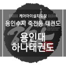 용인대 하나 태권도 이미지