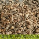 종철농장 이미지