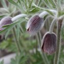 죽산  마을회관 이미지