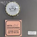 백슬동물병원 이미지