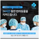 신도림동물병원 이미지