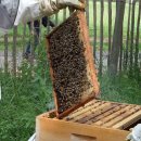 신기한농장 이미지