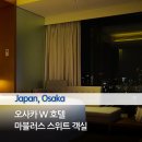2023-0081 | W 오사카 호텔 마블러스 스위트룸 | 포토존, 객실, 미니바, 전망 후기