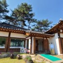 조가네갑오징어원주점 이미지