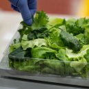 스마트팜 이미지