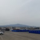 소남머리 이미지