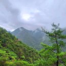 장령산자연휴양림 이미지