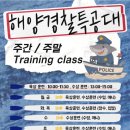 Team Shark 이미지