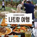 포시즌 | 베트남 나트랑 여행 양떼목장 포시즌 레스토랑 솔직후기
