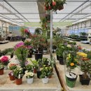 산림조합 앞 이미지