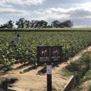 호로고루 화장실 이미지