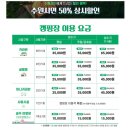 봉화로-L | 수원과 봉화의 상생, '청량산 수원캠핑장'으로 떠나보자!