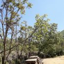 산북농장 이미지