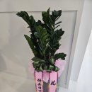 신나고코인노래연습장 이미지