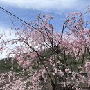 구례백두대간생태교육장 | 구례 절 화엄사 다녀온 후기(+주차장)