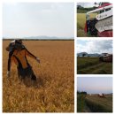 녹색농원 이미지