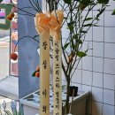 가족호텔 백합동 | 중화요리 전문점 동인천역 맛집 딩펑시푸드 : 짜장 짬뽕 탕수육 후기