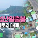 제주도성산공인중개사사무소 이미지
