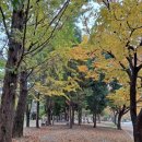 경상대학교 부속박물관 이미지