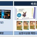 메리알동물병원