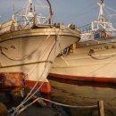 하늘아래첫농장 이미지