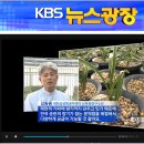 1﻿8일 아침 kbs 제1채널 6시 7시30분경 뉴스광장에서 한국춘란 신품종 아리울 관련 보도됩니다 이미지