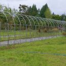 순창읍사무소 이미지