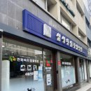 삼성동물종합병원 이미지