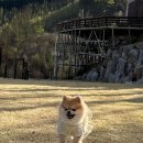 빌라드루이 이미지