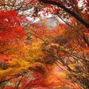 빵집이야기 이미지