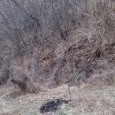 최영일 행정사사무소 이미지