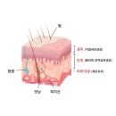 라움메디 이미지