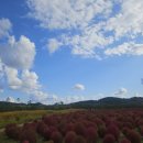 전곡역로 이미지