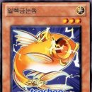 우리일렉