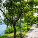 중원문화길 1구간 이미지