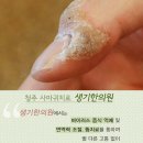 낮은자리한의원 이미지
