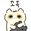 진성가스 네이버블로그