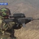 카피나라 이미지