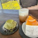 제주의휴일 | 휴일로 제주 다녀온 후기(3/18일 기준)💛 제주 유채꽃 카페 추천 / 산방산 카페, 박수기정 카페