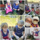 청주서원노인복지관 | No.26 청주 봉사단 2026. 04.24(금) 서원노인복지관 &amp; 서부복지관 봉사자 나들이