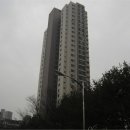 분당-323 이미지