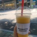매머드익스프레스선유도코오롱점